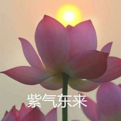 3975游戏中心(暂未上线)v1.2 安卓版