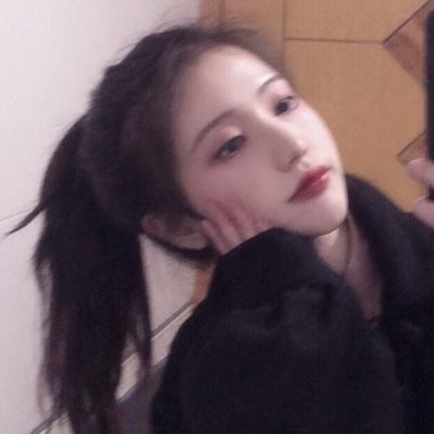 宠物精灵宝可梦满v手游下载